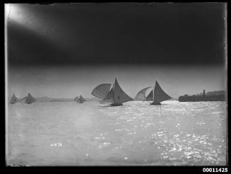 18-footers on Sydney Harbour, inscribed 2276