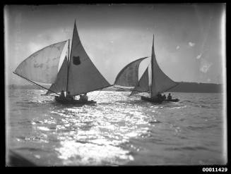 16-foot skiffs on Sydney Harbour, inscribed 2278