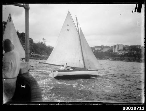 SASC yacht  JUNE BIRD on Sydney Harbour, INSC 968