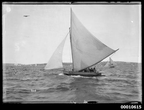 18-footers racing on Sydney Harbour