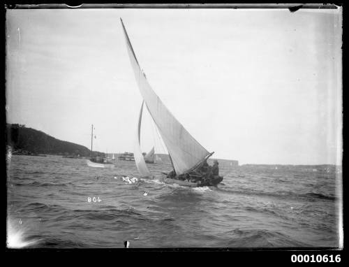 18-footer heeling on Sydney Harbour