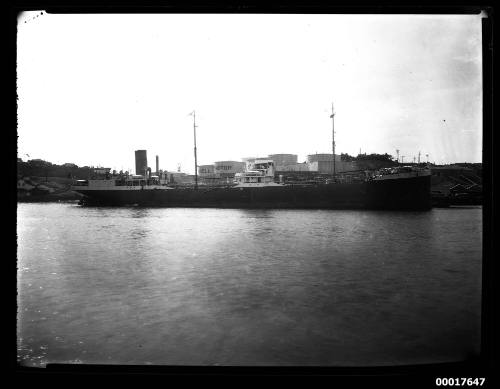 AMPULLARIA moored at Gore Cove