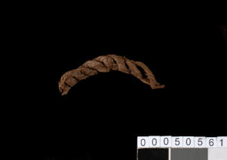 Piece of rope from the wreck of the VERGULDE DRAECK
