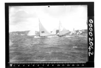 AUSTRALIA sailing with other18-footers on Sydney Harbour