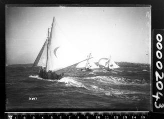 Three 18-footers on Sydney Harbour,  possibly HERO, SYDNEY or YENDYS and KISMET.