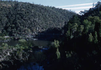 Bush, southern Queensland or northern New South Wales