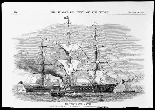 The WHITE STAR clipper (Built expressly for the Australian passenger trade)