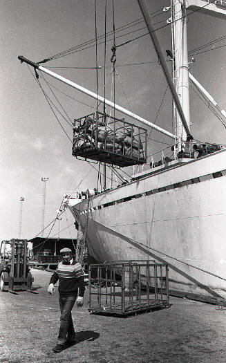 Photographs of Melbourne waterfront early 1980s