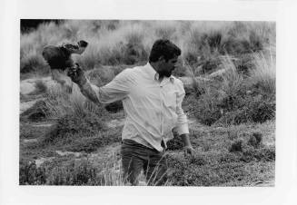 Terry Maynard catching muttonbirds