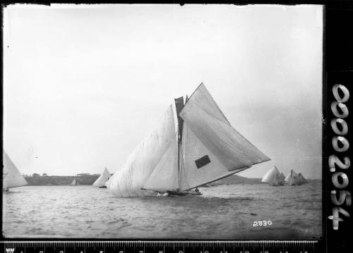 KISMET and other 18-footers racing on Sydney Harbour