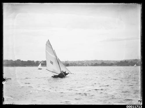 18-foot skiff sailing on Sydney Harbour, oblong sail insignia