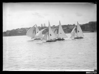 Sloops on Sydney Harbour, inscribed 2717