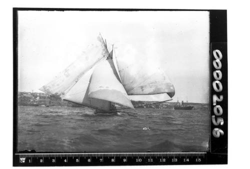 18-footer flying spinnaker and ringtail on Sydney Harbour