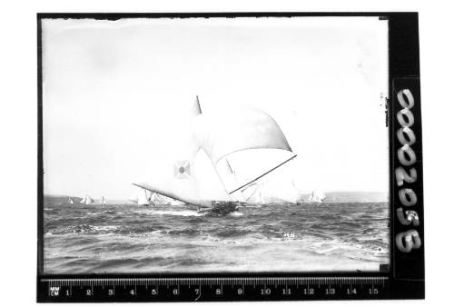 18-footer MISSISSIPPI flying spinnaker on Sydney Harbour