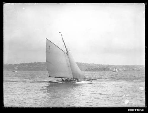 Sailing vessel on Sydney Harbour, INSC 2497