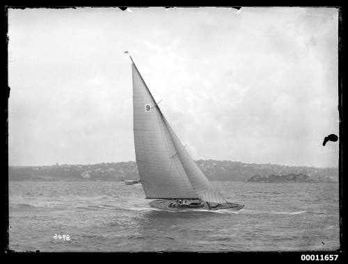 Sailing vessel on Sydney Harbour, INSC 2498