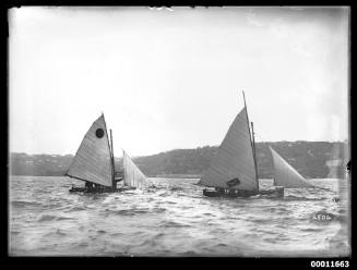 Two skiffs on Sydney Harbour