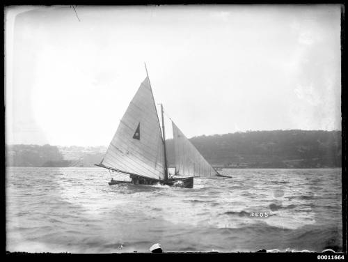 18-foot skiff FURIOUS with reduced sail, heads past Taronga Park Zoo Wharf