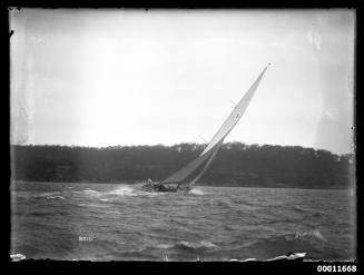VANESSA under sail on Sydney Harbour
