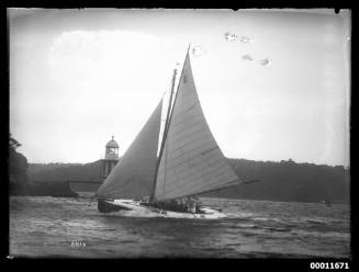 Sailing vessel on Sydney Harbour, INSC 2513