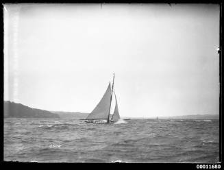 Sailing vessel on Sydney Harbour, INSC 2522