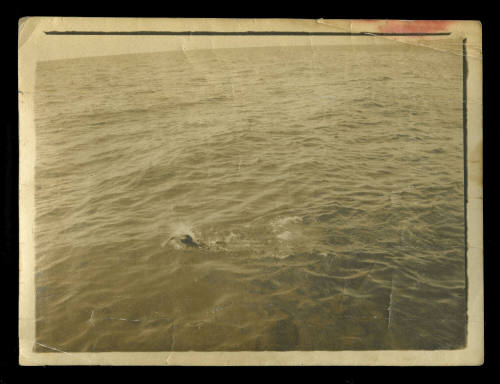 Person swimming in the ocean, possibly Beatrice Kerr