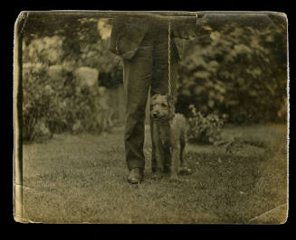 A dog standing on grass, with a chain lead