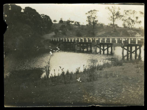 Wooden bridge over a narrow river, with grass in the foreground, and trees in the background