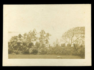 Black and white photograph of several trees along a garden wall, with the ocean in the background