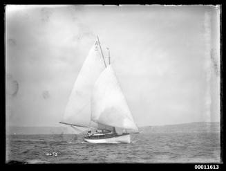 Sailing vessel on Sydney Harbour, inscribed 2453