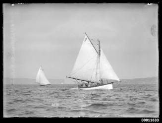 Sloops on Sydney Harbour with North Head visible in the background