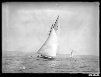 Sailing vessel on Sydney Harbour, INSC 2477