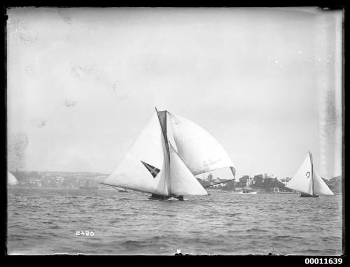 Two 18-foot skiff sail on Sydney Harbour past Point Piper