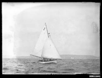 Sailing vessel on Sydney Harbour, INSC 2482