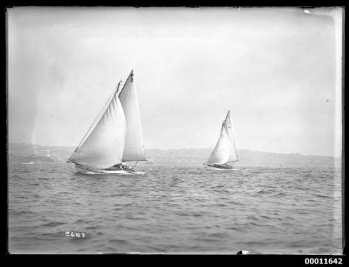 Sailing vessel on Sydney Harbour, INSC 2483