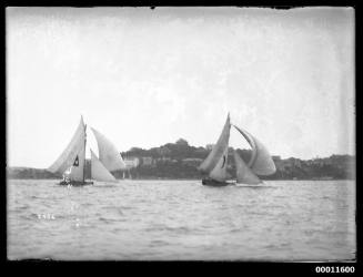 FURIOUS and another 18-footer passing Point Piper on Sydney Harbour