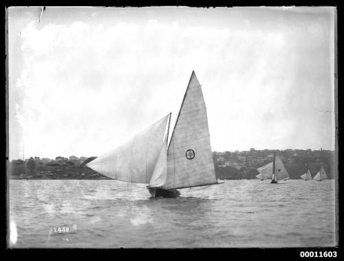 18-foot skiff racing past Shark Island on Sydney Harbour