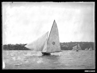 18-foot skiff racing past Shark Island on Sydney Harbour