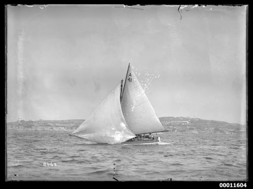 Sailing vessel on Sydney Harbour, inscribed 2443