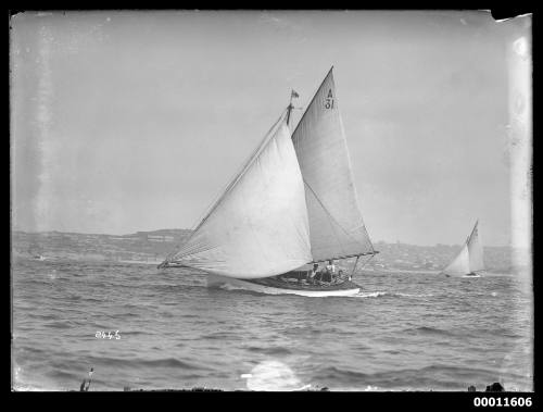 Sailing vessel on Sydney Harbour, inscribed 2445