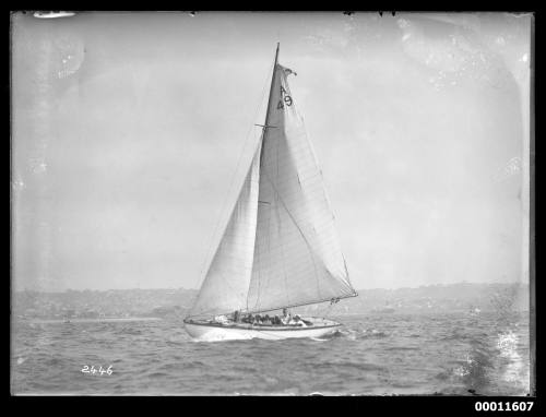 Sailing vessel on Sydney Harbour, inscribed 2446