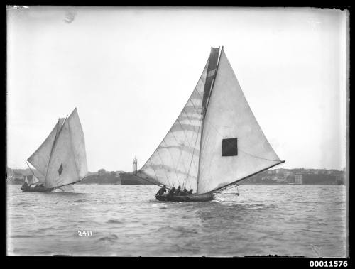 18-footers ARLINE and AVALON on Sydney Harbour, inscribed 2411