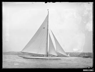 BONA  sailing on Sydney Harbour