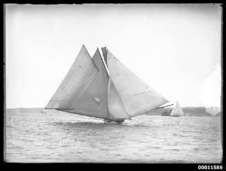 Skiff sailing on Sydney Harbour