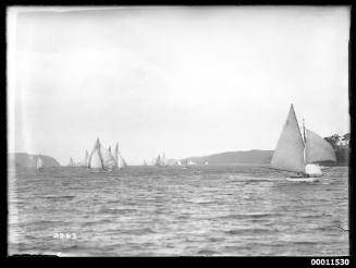 Sloops possibly on Pittwater, inscribed 2363