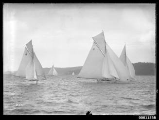 Sloops racing, probably at the Pittwater Regatta