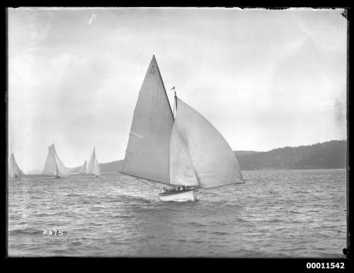 SEA ROVER (A33) on Pittwater, inscribed  2375