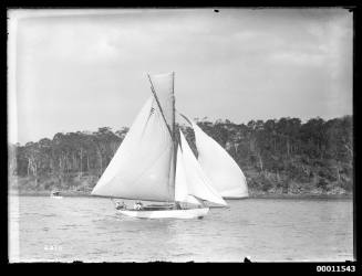 Yacht WINDWARD (E1) on Pittwater, inscribed  2376