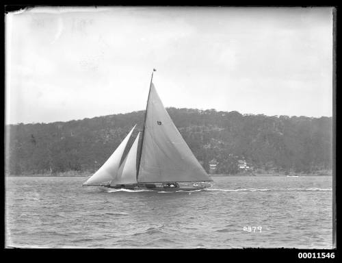 BONA sailing on Pittwater