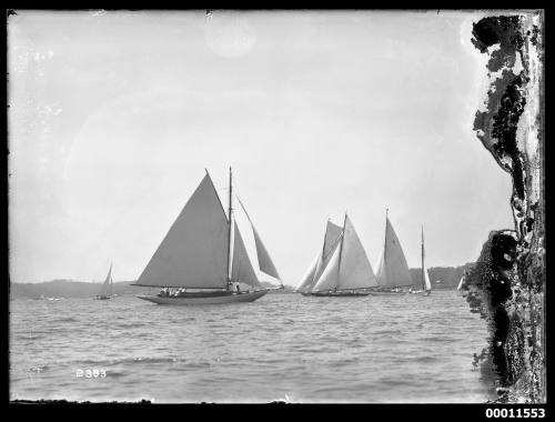 Yachts manoeuvering for a start on Pittwater, inscribed 2383